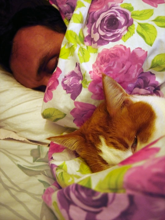 thrasibul-otto-asleep-jpg.174895