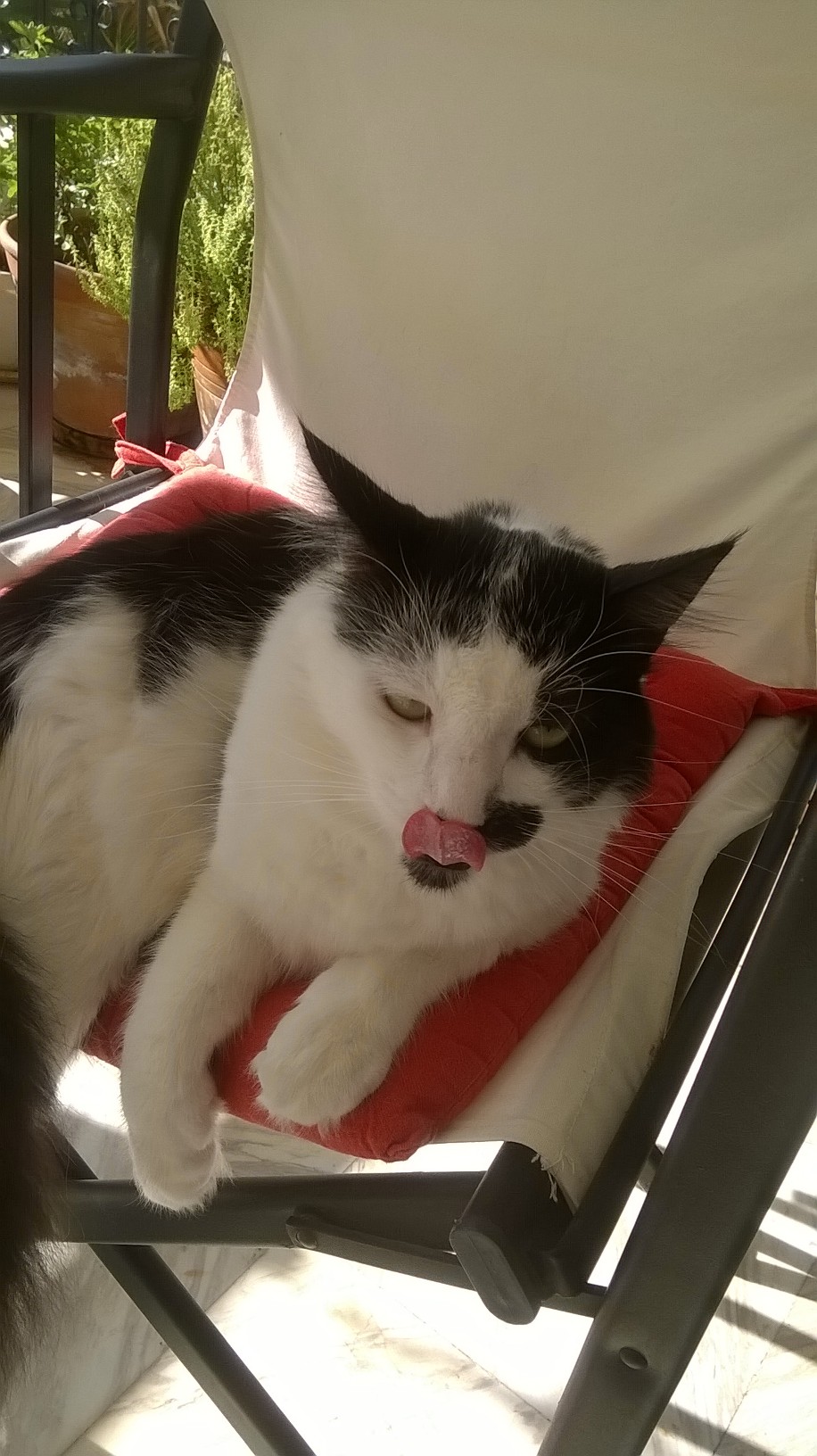 wp_20150921_10_18_25_pro-jpg.184327