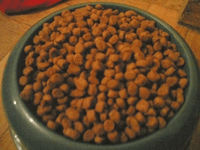 purina_texture.gif
