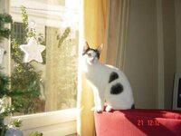 Αντίγραφο από Εικόνα 037.jpg