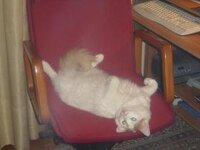 Αντίγραφο από DSC01750.JPG