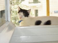 Αντίγραφο από DSC00969.JPG