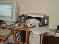 Αντίγραφο από DSC01033.JPG