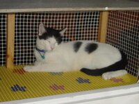 Αντίγραφο από DSC01032.JPG