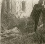 Αντίγραφο από Scan10023.JPG