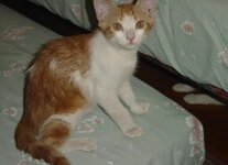 Αντίγραφο από DSC02088.JPG