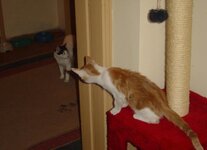 Αντίγραφο από DSC02099.JPG