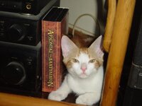 Αντίγραφο από DSC02109.JPG