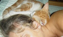 Αντίγραφο από DSC02157.JPG