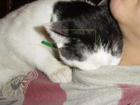 Αντίγραφο από DSC00455.JPG