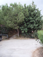 BROSTA STO SPITI.jpg