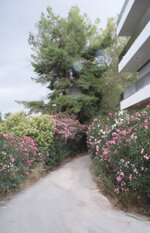 BROSTA STO SPITI 2.jpg