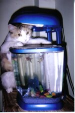 Η Μαρίκα και παρέα της!.jpg