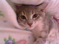 7th October 2006-Mr.Frodo (9).jpg