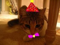 xronia polla oddisea.JPG