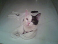 boulitsaki sobaro.jpg