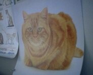 Video Snapshot 1.jpg