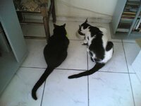 Ώρα φαγητού_21042007(001).jpg