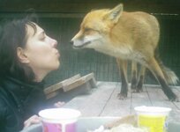 KISS WITH THE FOX 1.jpg