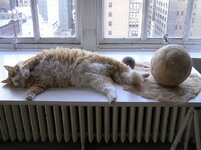 liz himmel23_small.jpg