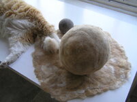 liz himmel24_small.jpg