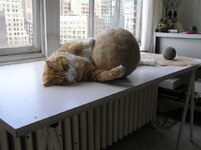 liz himmel25_small.jpg