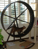catwheel.jpg