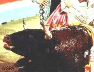 fondos pag jen 007.jpg