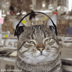 catdance4.gif