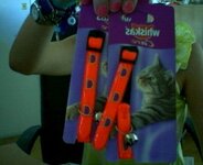 Video Snapshot 1.jpg