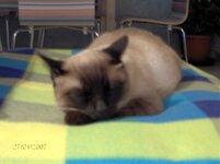 Εικόνα 099.jpg