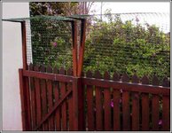 CatFence2.jpg