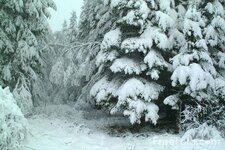 16_08_25---Snow-Scene_web.jpg
