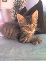 picture0344themis 2.JPG