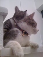 Εικόνα 023.jpg