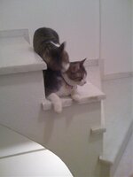 Εικόνα 024.jpg