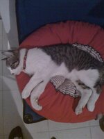 Εικόνα 027.jpg