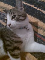 Εικόνα 007.jpg