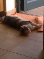 Εικόνα 005.jpg