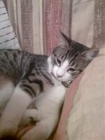 Εικόνα 042.jpg