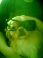 Εικόνα 0071.JPG