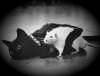 catmouse_love_small.jpg