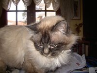 Εικόνα 002.jpg