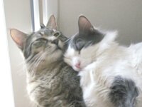 Φ-Ρ αγάπες.JPG