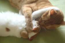 και οι δύο micro.jpg