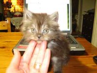 Εικόνα 422.jpg