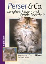 Exotic-Shorthair-Buch.jpg