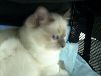 Julie zu Besuch Jan 08 (10).JPG