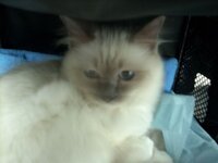 Julie zu Besuch Jan 08 (11).JPG