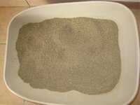 κοκκοι αμμου.jpg